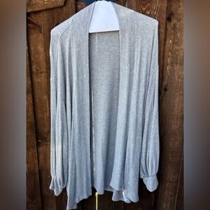 Velvet by Graham & Spencer Light Gray Cardigan
